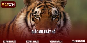 Giấc Mơ Thấy Hổ - Điềm Báo Về Các Con Số Lô Đề Dành Cho Bạn