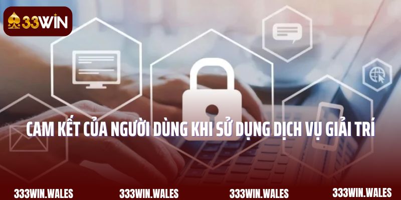 Cam kết của người dùng khi sử dụng dịch vụ giải trí